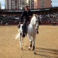 Feria de la Magdalena 2015