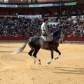 Feria de la Magdalena 2015