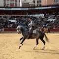 Feria de la Magdalena 2015