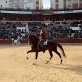 Feria de la Magdalena 2015