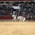 Feria de la Magdalena 2015