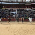 Feria de la Magdalena 2015