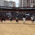 Feria de la Magdalena 2015