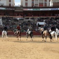 Feria de la Magdalena 2015