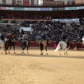 Feria de la Magdalena 2015