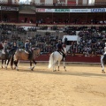 Feria de la Magdalena 2015