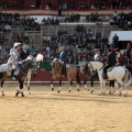 Feria de la Magdalena 2015