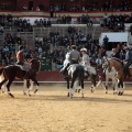 Feria de la Magdalena 2015