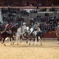 Feria de la Magdalena 2015