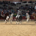 Feria de la Magdalena 2015