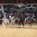 Feria de la Magdalena 2015