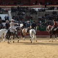 Feria de la Magdalena 2015