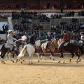 Feria de la Magdalena 2015