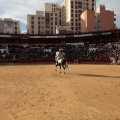 Feria de la Magdalena 2015