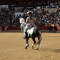 Feria de la Magdalena 2015