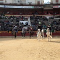 Feria de la Magdalena 2015