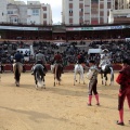 Feria de la Magdalena 2015