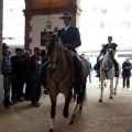 Feria de la Magdalena 2015