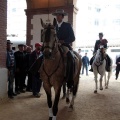 Feria de la Magdalena 2015