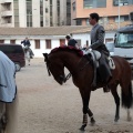 Feria de la Magdalena 2015