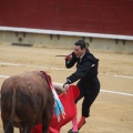 Castellón, Magdalena 2015