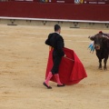 Castellón, Magdalena 2015