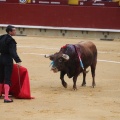 Castellón, Magdalena 2015