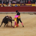 Castellón, Magdalena 2015