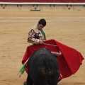 Castellón, Magdalena 2015