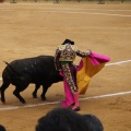 Castellón, Magdalena 2015