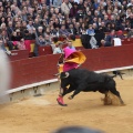 Castellón, Magdalena 2015