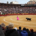 Castellón, Magdalena 2015