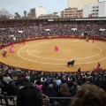 Castellón, Magdalena 2015