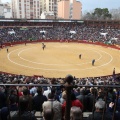 Castellón, Magdalena 2015