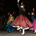 XVI Mostra de música i folklore regional