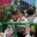Cabalgata infantil