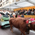 Cabalgata infantil