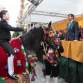 Cabalgata infantil