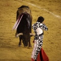 Corrida de toros goyesca