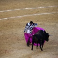 Corrida de toros goyesca