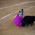 Corrida de toros goyesca