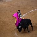 Corrida de toros goyesca