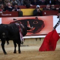 Corrida de toros goyesca