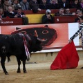 Corrida de toros goyesca