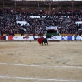 Corrida de toros goyesca