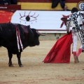 Corrida de toros goyesca