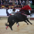 Corrida de toros goyesca