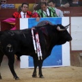 Corrida de toros goyesca