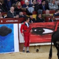 Corrida de toros goyesca