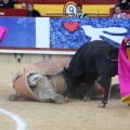 Corrida de toros goyesca